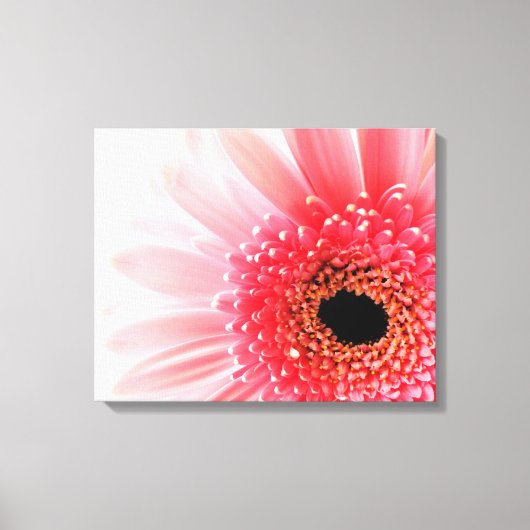 Gerbera Madeliefje Canvas Afdruk (Voorkant)