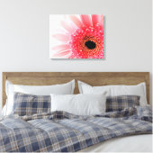 Gerbera Madeliefje Canvas Afdruk (Insitu (Slaapkamer))