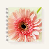 Gerbera Madeliefje Notitieboek (Voorkant)