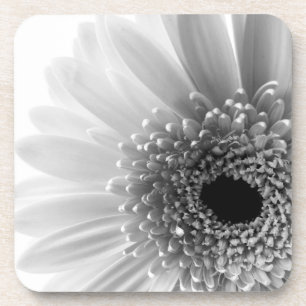 Gerbera Madeliefje Onderzetter