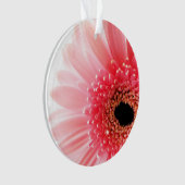 Gerbera Madeliefje Ornament (voorkant)