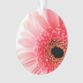 Gerbera Madeliefje Ornament (voorkant)