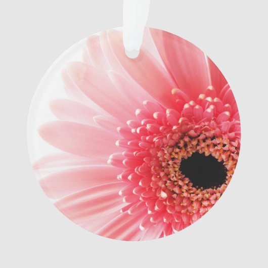 Gerbera Madeliefje Ornament (voorkant)
