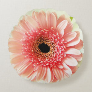 Gerbera madeliefje rond kussen