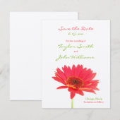 Gerbera Madeliefje Save the Date Aankondigingen (Voorkant / Achterkant)