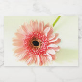 Gerbera Madeliefje Voedselcontainer Etiket (Enkel label)