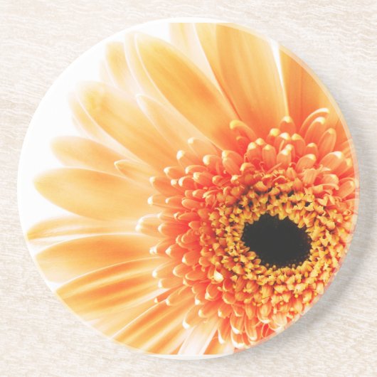 Gerbera Madeliefje Zandsteen Onderzetter (Voorkant)