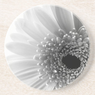 Gerbera Madeliefje Zandsteen Onderzetter