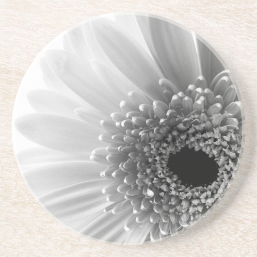 Gerbera Madeliefje Zandsteen Onderzetter (Voorkant)