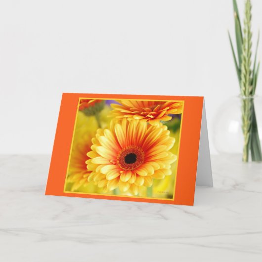 Gerbera Madeliefjes Wenskaart Kaart (Voorkant)
