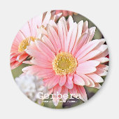 Gerbera Magneet (Voorkant)