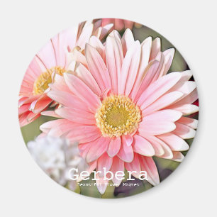 Gerbera Magneet