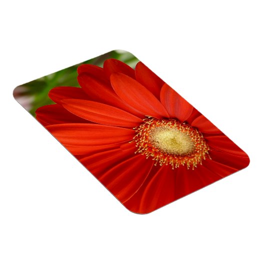 Gerbera Magneet (Rechterzijde)