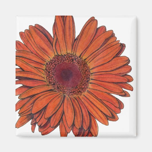 Gerbera Magnet (Voorkant)
