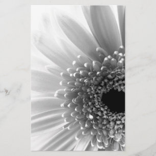 Gerbera-Margriet Briefpapier