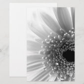 Gerbera-Margriet Briefpapier (Voorkant / Achterkant)