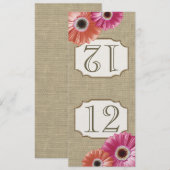 Gerbera-Margriet Roze en Koraal Tafelnummer (Voorkant / Achterkant)