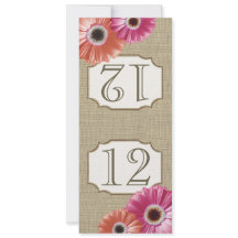 Gerbera-Margriet Roze en Koraal Tafelnummer