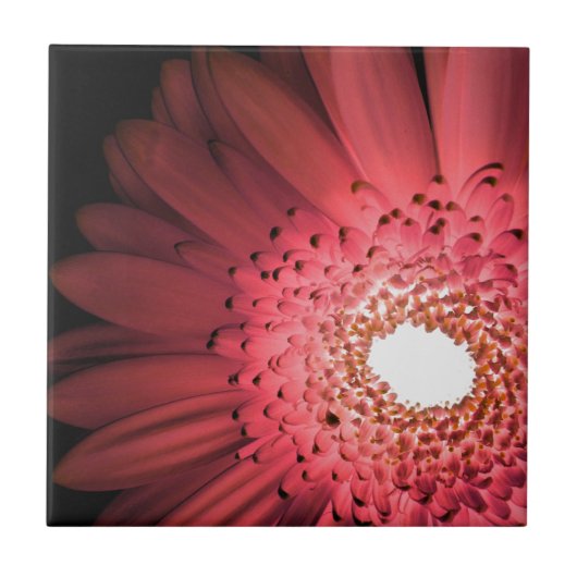 Gerbera-Margriet Tegeltje (Voorkant)
