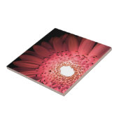 Gerbera-Margriet Tegeltje (Zijkant)