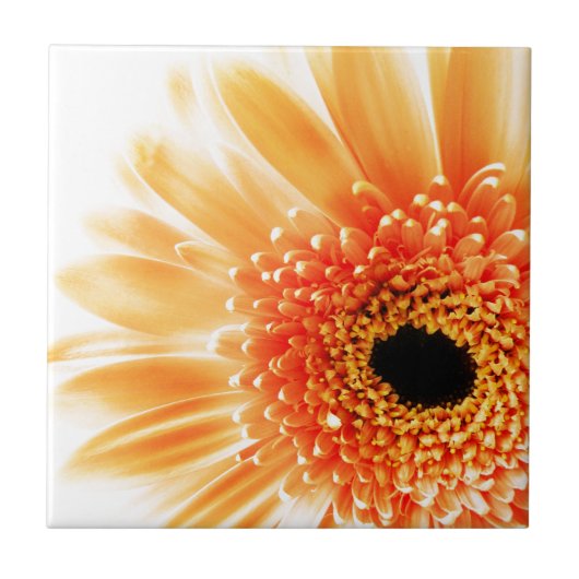 Gerbera-Margriet Tegeltje (Voorkant)