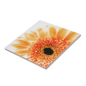 Gerbera-Margriet Tegeltje (Zijkant)