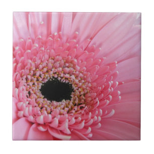 Gerbera-Margriet Tegeltje