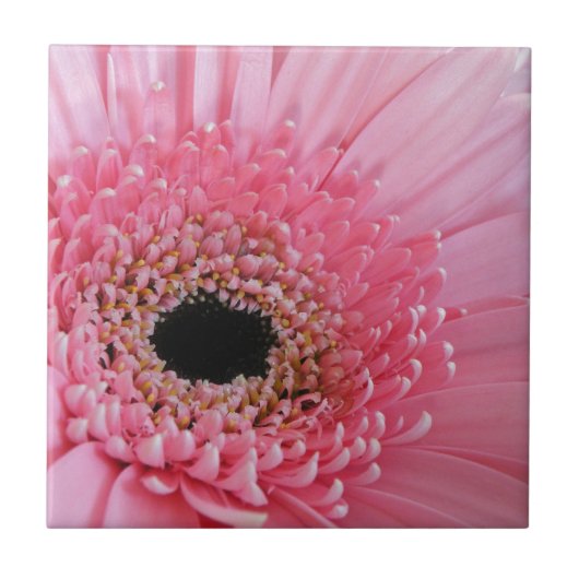 Gerbera-Margriet Tegeltje (Voorkant)