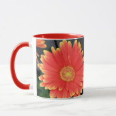 Gerbera Mok (Links)