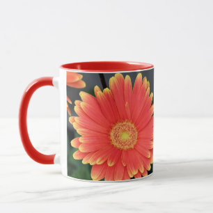 Gerbera Mok