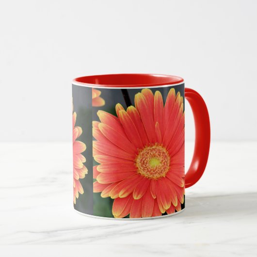 Gerbera Mok (Voorkant rechts)