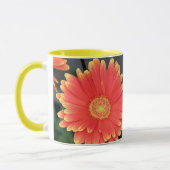 Gerbera Mok (Links)