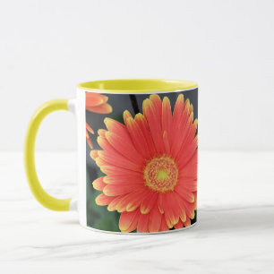 Gerbera Mok