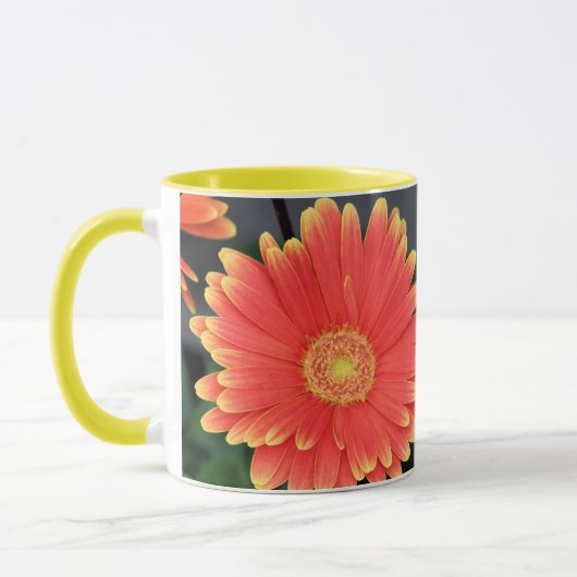 Gerbera Mok (Links)