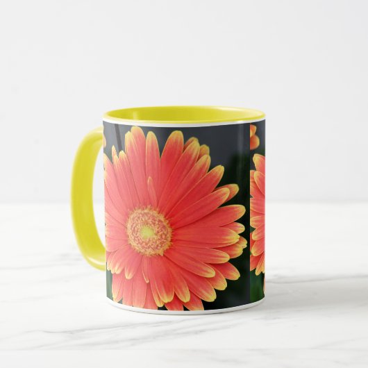 Gerbera Mok (Voorkant links)