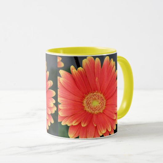 Gerbera Mok (Voorkant rechts)