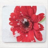 Gerbera Muismat (Voorkant)
