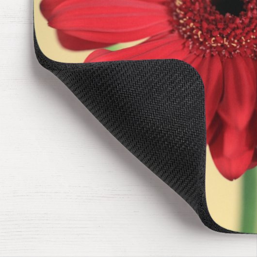 Gerbera Muismat (Hoek)
