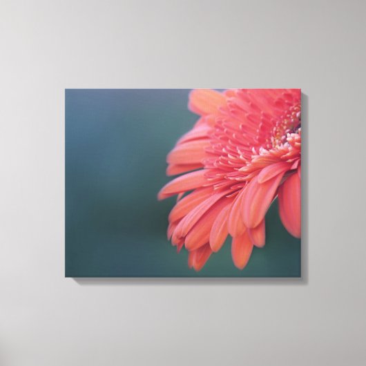 Gerbera rode bloem canvas afdruk (Voorkant)