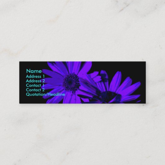 gerbera ' s nachts 1 mini visitekaartje (Voorkant)