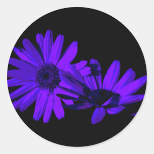 Gerbera 's nachts 1 ronde sticker