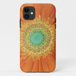 Gerbera Sun iPhone 11 Hoesje