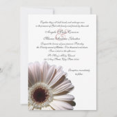 Gerbera Wedding Daisy Kaart (Voorkant)