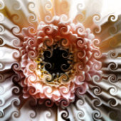 GERBERAS BUTTON FLESOPENER