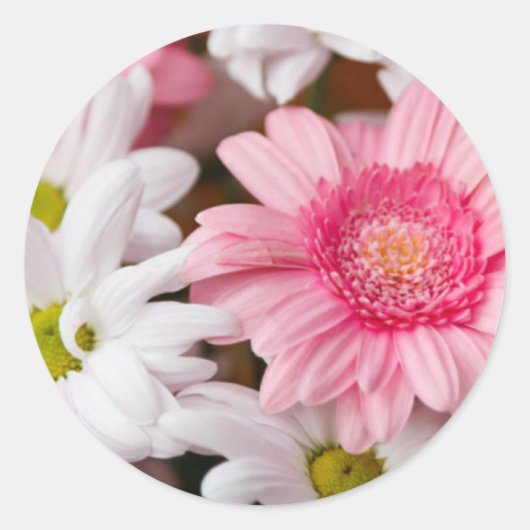 Gerberas en Chrysanthemums Ronde Sticker (Voorkant)