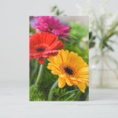 Gerberas Flowers Bedankkaart (Staand voorkant)