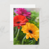 Gerberas Flowers Bedankkaart (Voorkant / Achterkant)