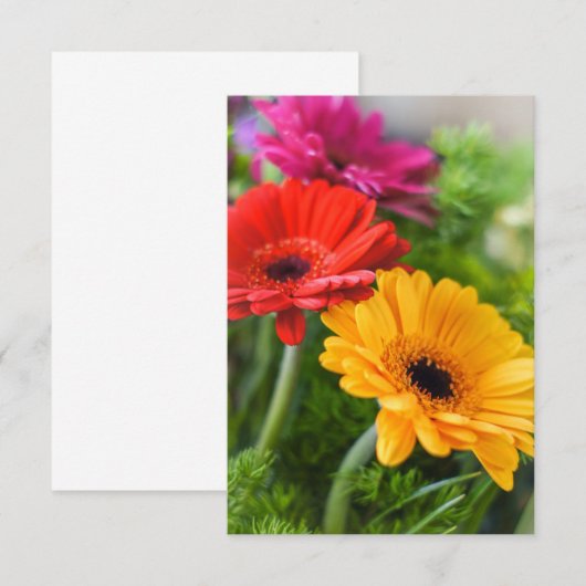 Gerberas Flowers Bedankkaart (Voorkant / Achterkant)
