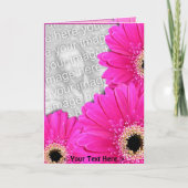 Gerberas Greetings Kaart (Voorkant)