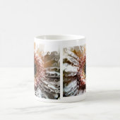 GERBERAS KOFFIEMOK (Center)